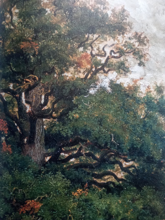 Barbizon.jpg, nov. 2024