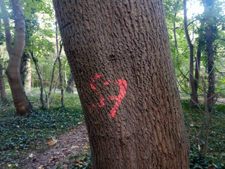 Forêt bucheron.jpg, oct. 2024